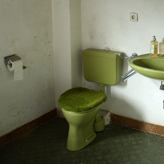 Bad: Toilette